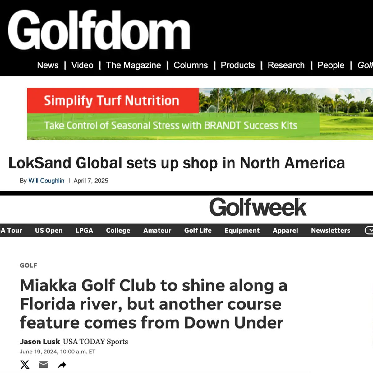 Collage of News Articles